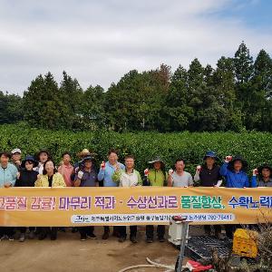 [수시] 오늘은 으뜸 감귤 생산을 위해 수상선과 하는 날