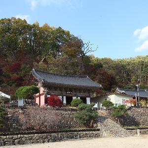 「예천 용문사 대장전과 윤장대」국보 지정 예고