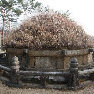 ‘억새 절정기’맞은 태조 건원릉, 올해부터 정기 특별 개방