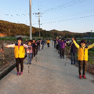 시골에도 노르딕걷기 신바람 열풍! 홍성군 걷기 사업 ‘인기’