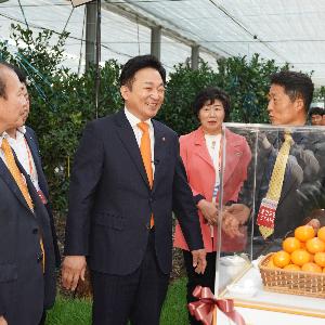 [수시] ‘2019 제주감귤박람회’성황리 개막
