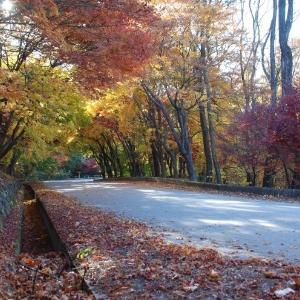 호명호수(虎鳴湖水) 가을 스케치