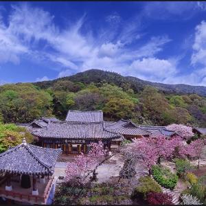 개심사(開心寺) 둘러 보았어요!