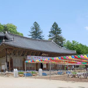 공주 마곡사(麻谷寺)에 다녀왔어요!