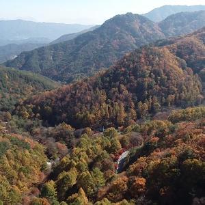 ‘금원산자연휴양림’ 예약! 이제 숲나들이(e)에서...