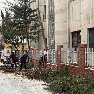 의정부시보건소 겨울맞이 수목 정비