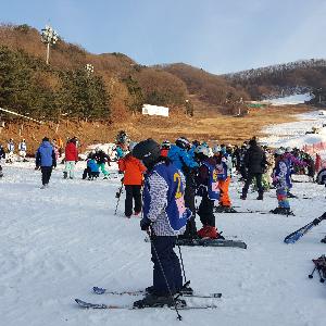 세종시 드림스타트‘드림키즈 스키캠프’운영