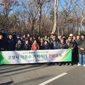 고양시, 가로수 가지치기 전문교육 통해 ‘고양 나무권리선언’ 지속 이행