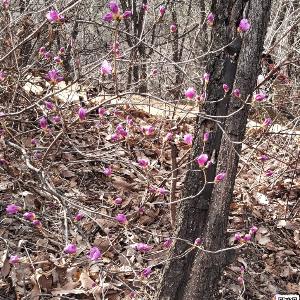 휴일 봉제산(鳳啼山) 풍경