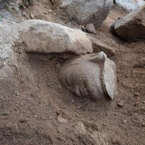 경주 남산 약수곡에서 통일신라시대 불두(佛頭) 발견