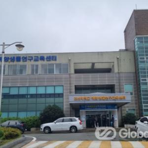 완도이순신기념관, 진린, 등자룡 장군(하)