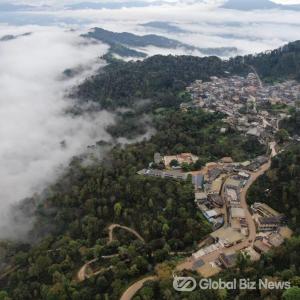 중국 푸얼 징마이 산(Jingmai Mountain)의 오래된 차나무 숲