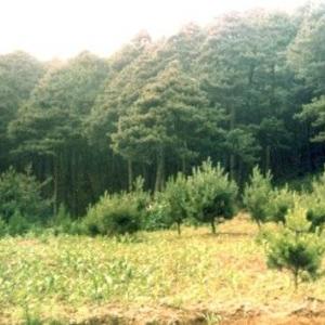 29. 평안남도 맹산 공암사를 찾아서 