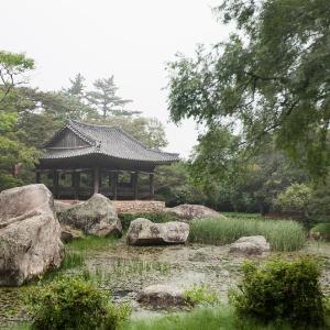 국가유산 전통조경 수리 표준시방서 개정