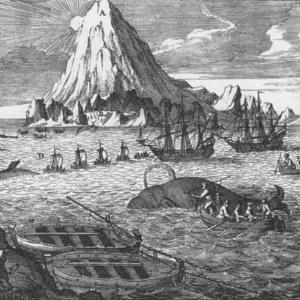 하멜표류기에 조선 동해안 고래 풍부하다는 사실 기록... 관리, 1851년 4월 서양 이양선 출현을 조사해 상세 기록